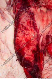 Photo Textures of RAW Pork Meat